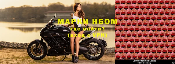 гидропоника Алзамай