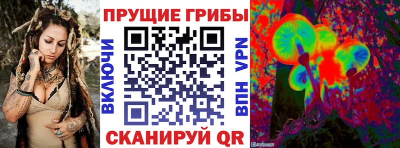 MEGA ССЫЛКА  Нововоронеж  Псилоцибиновые грибы мухоморы  купить наркотики цена 