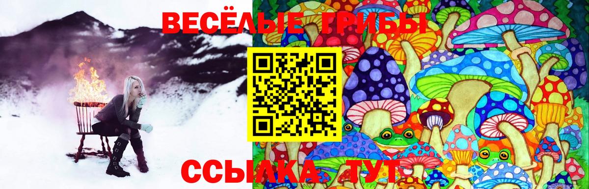 Галлюциногенные грибы GOLDEN TEACHER Нововоронеж